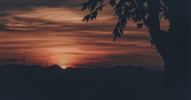 Chasing sunset at Chocolate Hills