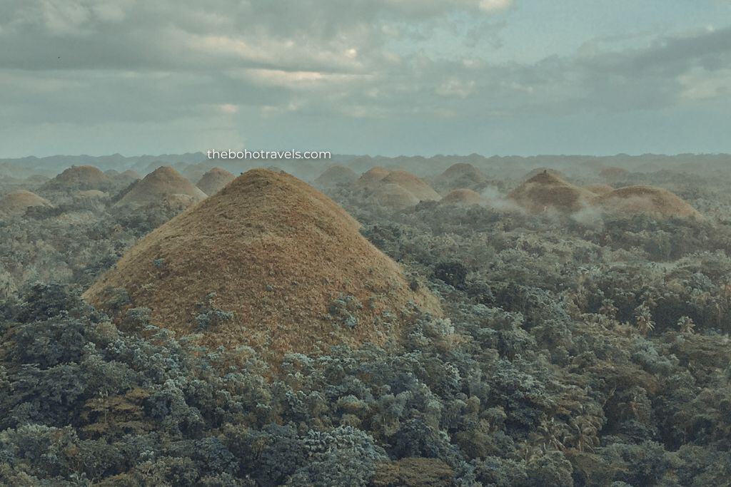The Chocolate Hills rise above a dense tropical forest under a cloudy sky, with dozens of rounded limestone hills stretching across the landscape. Visiting this iconic viewpoint is one of the most memorable things to do in Bohol.