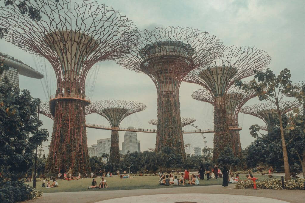 Towering tree-like garden structures covered in greenery rise above a landscaped park, with visitors walking along elevated skywalks between them. The futuristic design showcases one of Southeast Asia's most recognizable modern attractions, offering a contrast to the region's historic landmarks in a Southeast Asia travel guide.