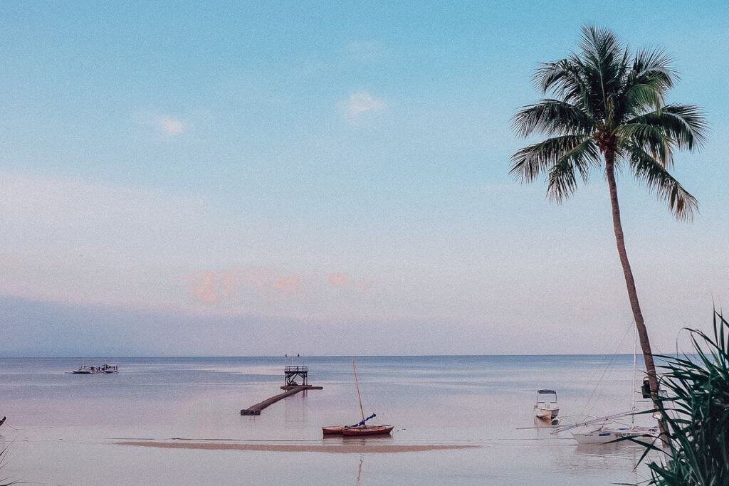 Calm beach at dusk in Panglao Island, Bohol with a palm tree and boats in the distance